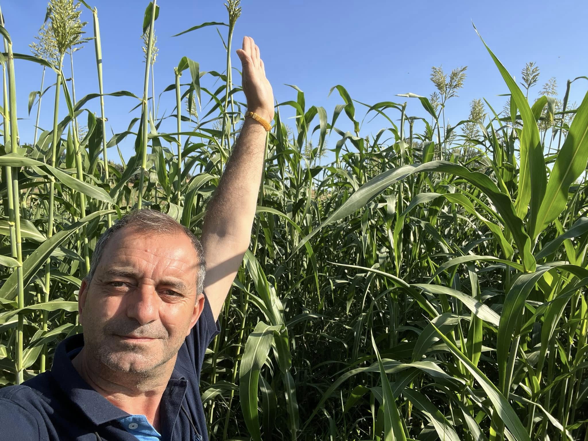 DİK TARIM işletme
